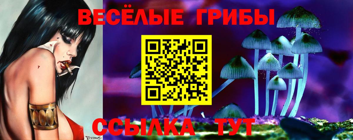 хочу наркоту  Псилоцибиновые грибы Psilocybe  Вход с VPN  Черкесск  Псилоцибиновые грибы мицелий 